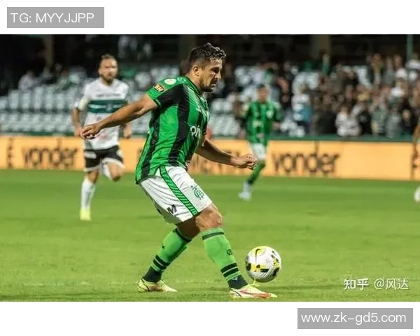 米美洲与老虎竞技的巅峰对决谁能在赛场上笑到最后