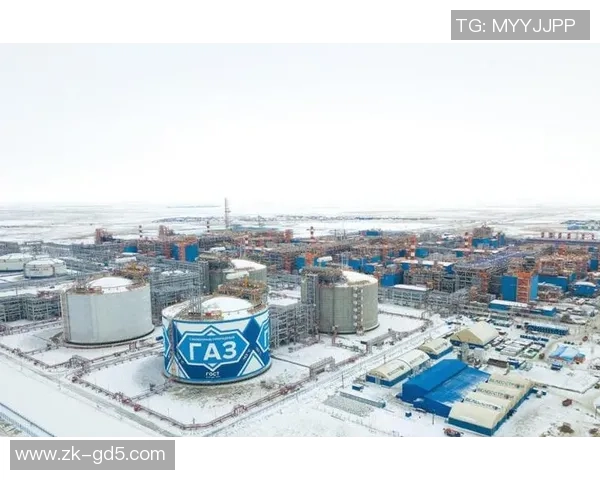 亚马尔地区的资源开发与国际合作前景分析及其对全球能源市场的影响