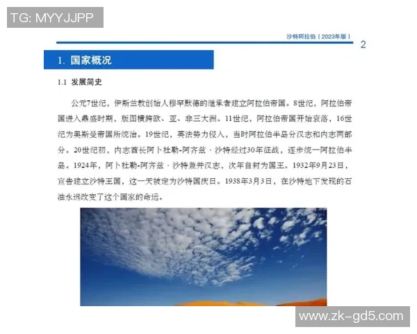 沙特与埃及经济文化发展对比分析及其影响因素探讨