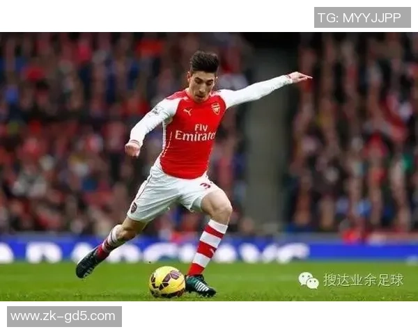 极限运动战术解析:武汉极限运动队的创新防守体系与战术运用探讨