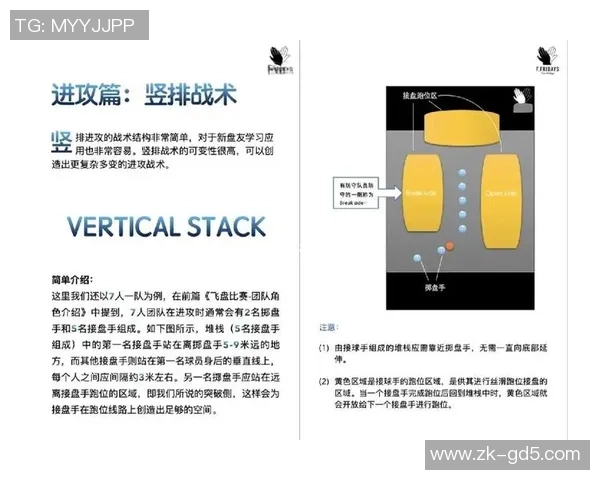 西安飞盘队整体压制打法深度分析与战术解读