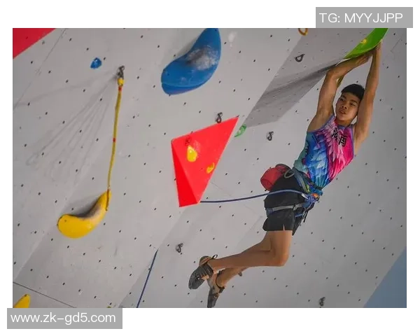 攀岩战术解析：深入探讨上海攀岩队的区域防守策略与实践