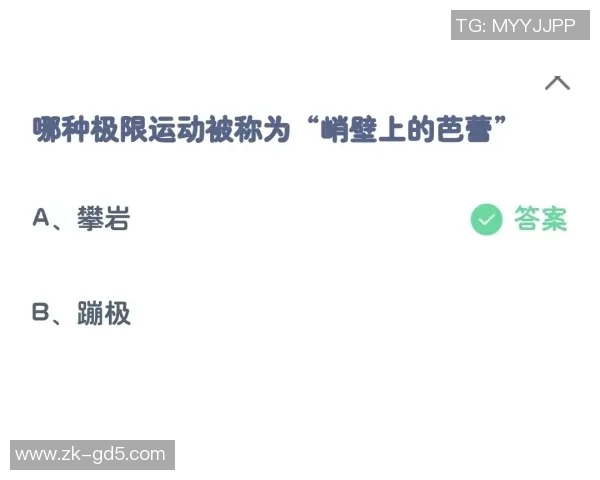 重庆极限运动队的防守策略揭秘与深度分析